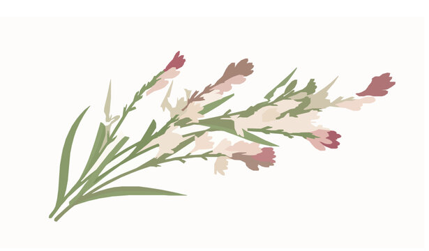 Rajnigandha tuberose bouquet vector Southeast Asian floral illustration elegant design