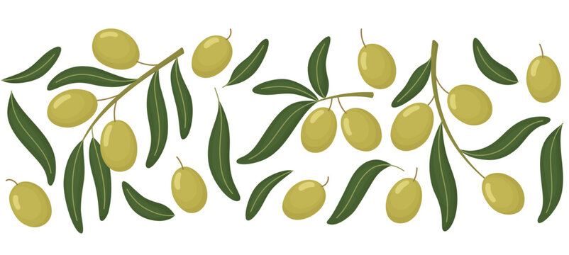 Seamless border with green olives and leaves. Horizontal Mediterranean pattern with cute fruits	