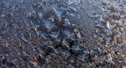 Fototapeta premium Macro close-up of intricate frost crystals on window. Icy snowflake and fern patterns with golden light. Abstract winter nature background