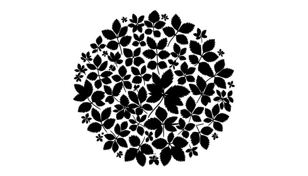 leopard print on white background