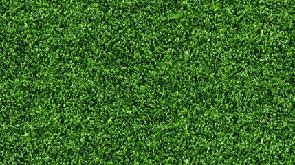 Obraz premium This lush green grass spreads vividly across the ground, creating a cheerful atmosphere for outdoor activities. Sunlight dances on the soft blades, inviting relaxation and joy