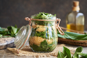 Glass jar filled with chopped ribwort plantain syrup leaves and sugar to prepare herbal syrup © Madeleine Steinbach