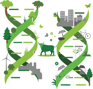 Minimalist DNA infographic illustration featuring green helix with ecosystem energy city agriculture and sustainability elements in clean design
