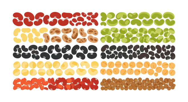 Assortment of Beans and Legumes, Healthy Food Ingredients Collection
