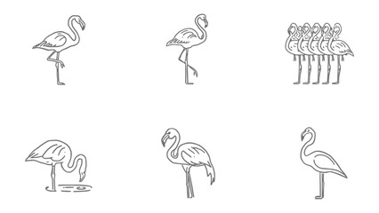 Fototapeta premium Flamingo Sketches: A series of flamingo sketches, showcasing the graceful elegance of these birds in various poses. perfect for education and study