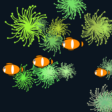 Minimalist Vector Illustration of Tropical Anemone Fish
