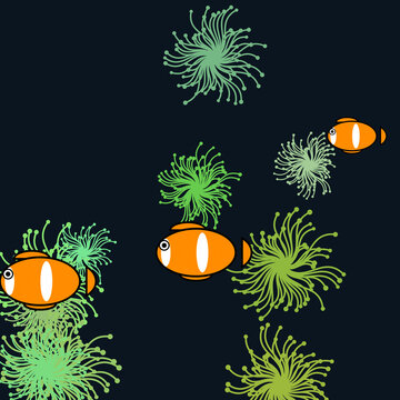 Colorful Coral Reef Fish Vector Art Illustration