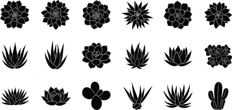 Succulent silhouette set, cactus vector icons, plant illustration artwork, desert clipart collection, nature design pack, black succulent graphic artwork