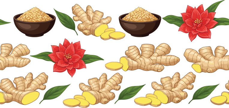 Ginger Root, Powder, and Red Flower Illustration for Herbal Remedies and Culinary Use