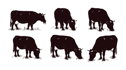 Fototapeta premium Cows are seen chewing on grass in a series of hand-drawn illustrations.