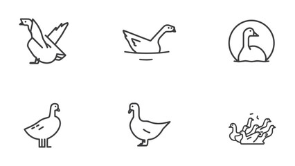 Goose Icon Set: Collection of stylish line art illustrations of geese in various poses and situations, ready for your design needs. © abidakhatun