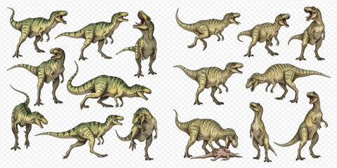 Set of various dinosaur illustrations in different poses and actions, prehistoric creatures. © Akun