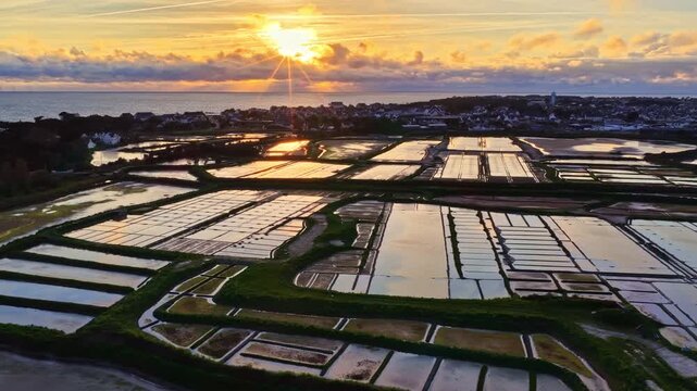 Salt evaporation ponds at Le Croisic reflecting golden sunlight, demonstrating traditional sea salt harvesting