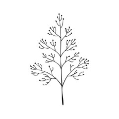 Minimalist botanical drawing of a delicate wild plant with tiny buds and branches, hand-drawn line art