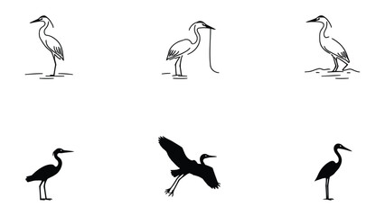 Fototapeta premium Stunning Crane Silhouette Collection: A captivating collection of crane silhouettes, offering diverse poses and perspectives, perfectly suited for design projects.