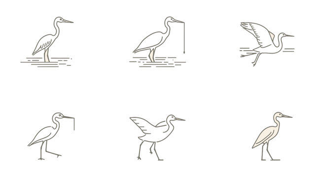 Heron Icon Set: A minimalistic illustration set of herons in various poses, from standing to soaring, perfectly crafted for visual projects.