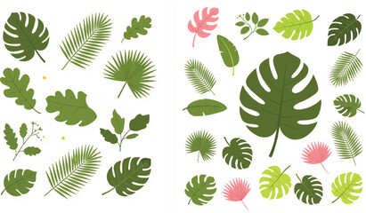 Tropical leaves illustration collection featuring monstera palm fern and various green foliage elements in modern flat botanical design style © MdKhayrul