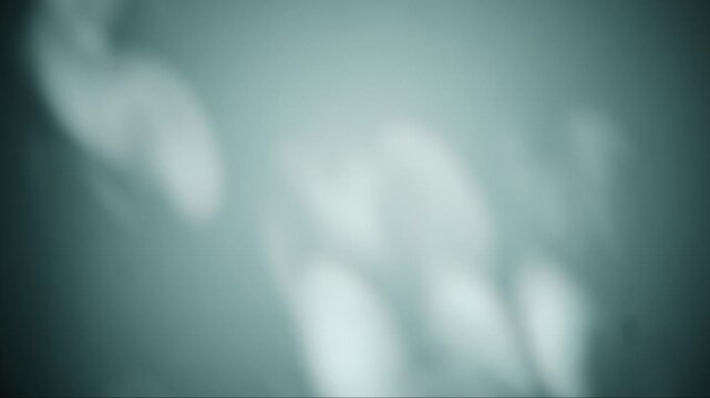 Soft abstract shadow background with diffused light and blurred organic shapes in cool tones, 4K