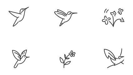 Fototapeta premium Whimsical hummingbird sketches and delicate flower drawings. 