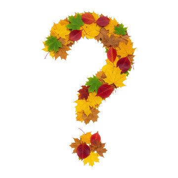 Autumn leaves question mark design element isolated on transparent background