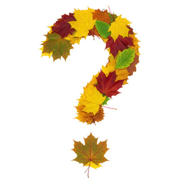 Autumn leaves question mark design element isolated on transparent background
