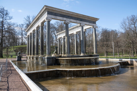 PETRODVORETS, RUSSIA - APRIL 18, 2026: Fountain "Lion Cascade", Peterhof Palace and Park Complex
