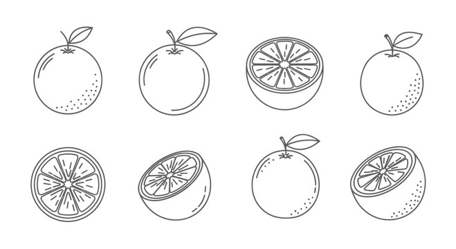Orange Fruit Icons Set: Whole, Half, and Slice - Line Art Vector