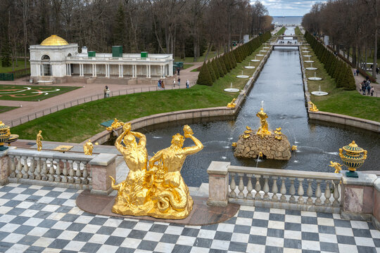 PETRODVORETS, RUSSIA - APRIL 18, 2026: Lower Park of the Peterhof Museum Reserve on an April morning