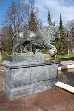 PETRODVORETS, RUSSIA - APRIL 18, 2026: Lion sculpture in close-up. Fragment of the fountain "Lion Cascade", Peterhof Palace and Park Complex (vertical)