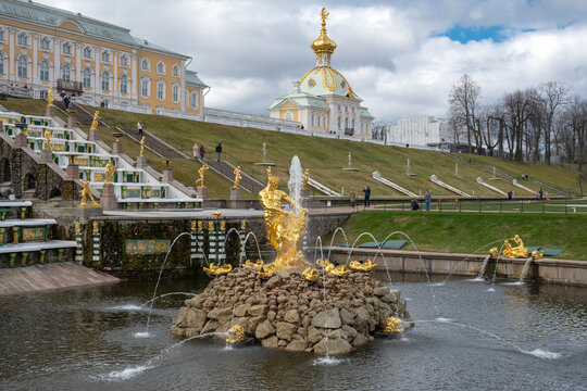 PETRODVORETS, RUSSIA - APRIL 18, 2026: Samson Fountain in the early April morning in Peterhof Park