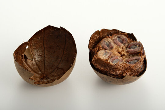 Whole and halved luo han guo fruits with detailed cross-section showing seeds and outer shell on white background