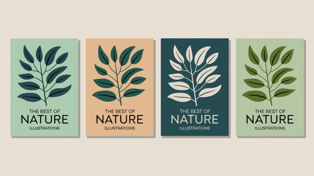 Four botanical illustrations showcase stylized leafy branches against subtly different colored backgrounds accompanied by the text the best of nature high quality professional detailed modern elegant