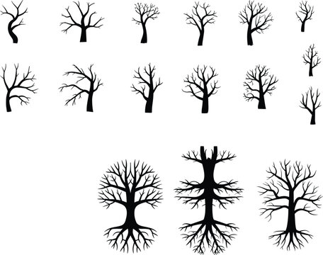 Collection of leafless tree silhouettes, black vector illustration, winter forest nature design, barren branches roots graphic art set