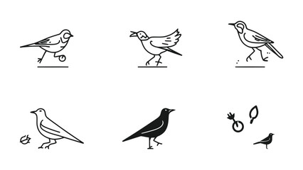 Fototapeta premium Artistic Avian Ensemble: A collection of simple and stylized bird illustrations, each conveying a different pose and movement, capturing the essence of avian life in a clean, minimalist style.