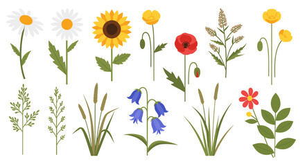 Fototapeta premium Colorful flowers and plants illustration.