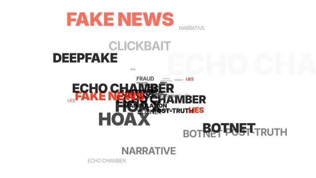Disinformation and echo chamber word cloud.