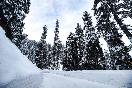 Aerial view of a pristine snow-covered road carving a path through a dense forest of towering, snow-laden fir trees under an ethereal sky, Gulmarg, Jammu and Kashmir, India.