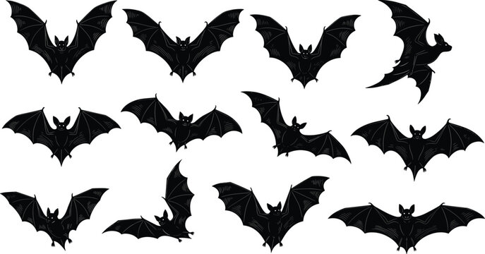 Comprehensive Black Silhouette Collection of Bats in Various Flying and Wingspan PositionsComprehensive Black Silhouette Collection of Bats in Various Flying and Wingspan Positions