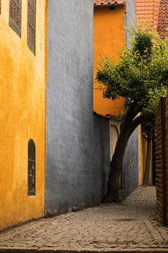 narrow street in the old town
