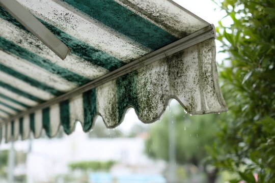 Green and black mildew mold stains on a wet white outdoor awning canvas.