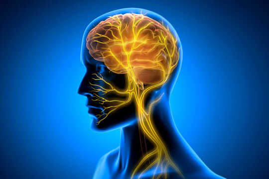 X Ray style 3D rendering  of Vagus Nerve Stimulation with glowing nerve fibers - 3D illustration