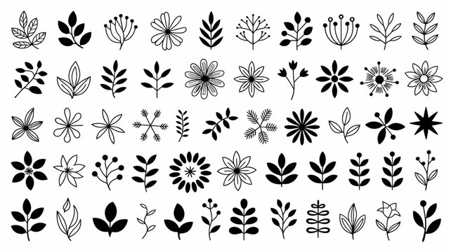 A collection of delicate hand drawn floral and leaf illustrations presented in a simple black and white linear style arranged in a grid pattern high quality