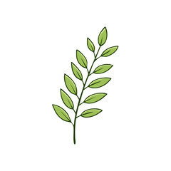 Obraz premium A simple green leaf branch illustration with a clean, natural aesthetic