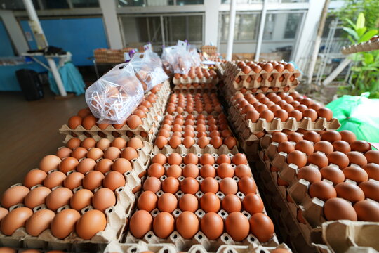 many fresh eggs at the market