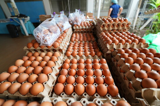 many fresh eggs at the market