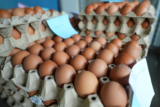 many fresh eggs at the market