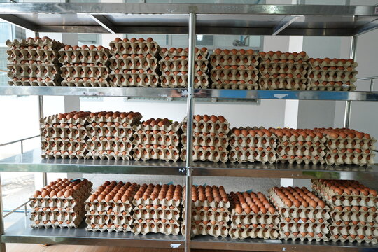 many fresh eggs at the market