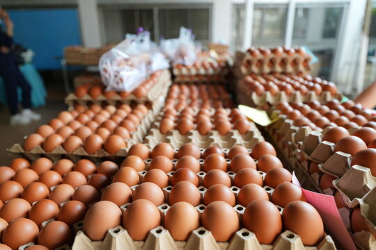many fresh eggs at the market