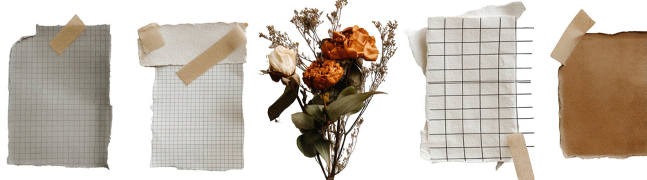 Handwritten paper notes, dried flowers, and envelopes scattered isolated on transparent background