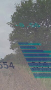 Vertical video: HUD appearing triggers bars sliding digits moving gauge showing $44 growing by tree